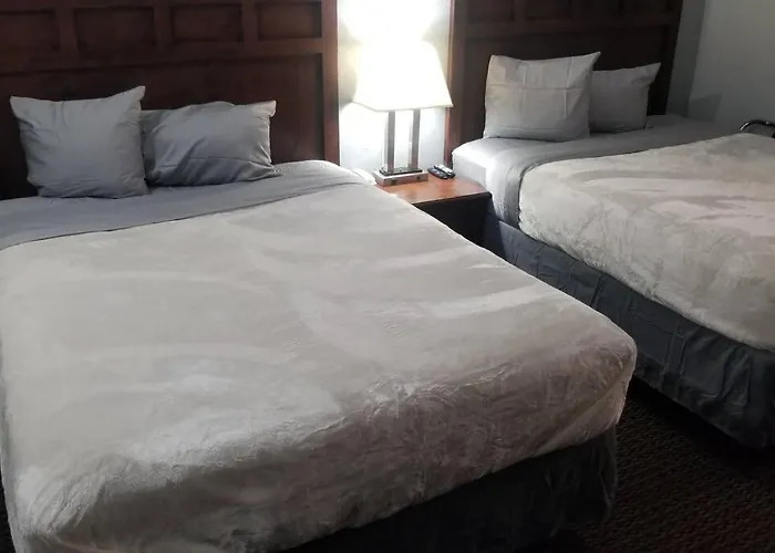 Hotel 2 Queen Beds Hotel Room 133 Booking